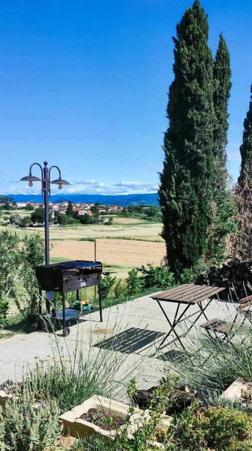 The Olive Grove In Tuscany Toiano Exterior foto